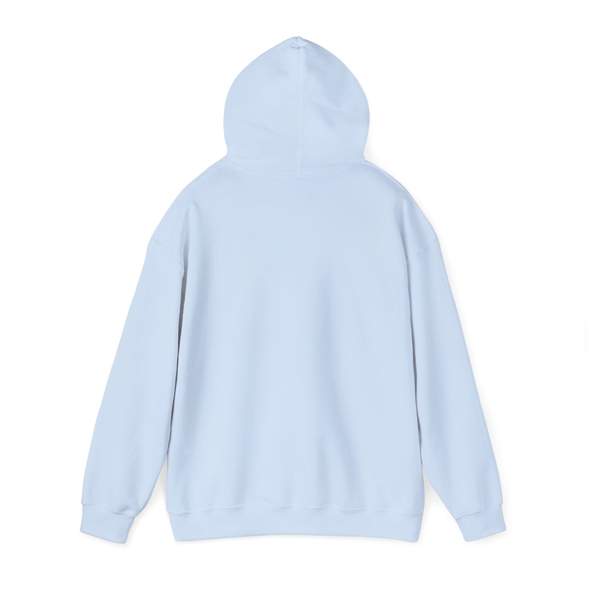 Sarcasm University Hoodie – Funny College Style Pullover