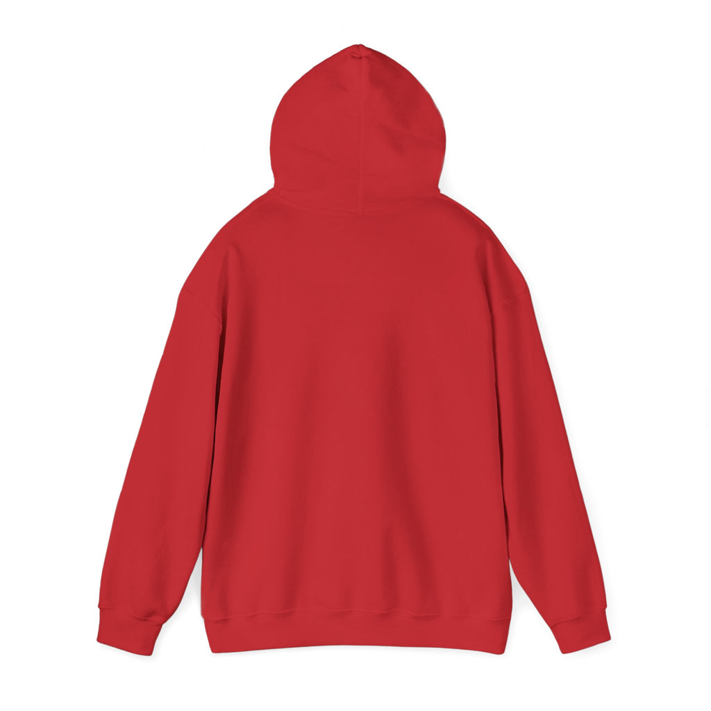 Sarcasm University Hoodie – Funny College Style Pullover