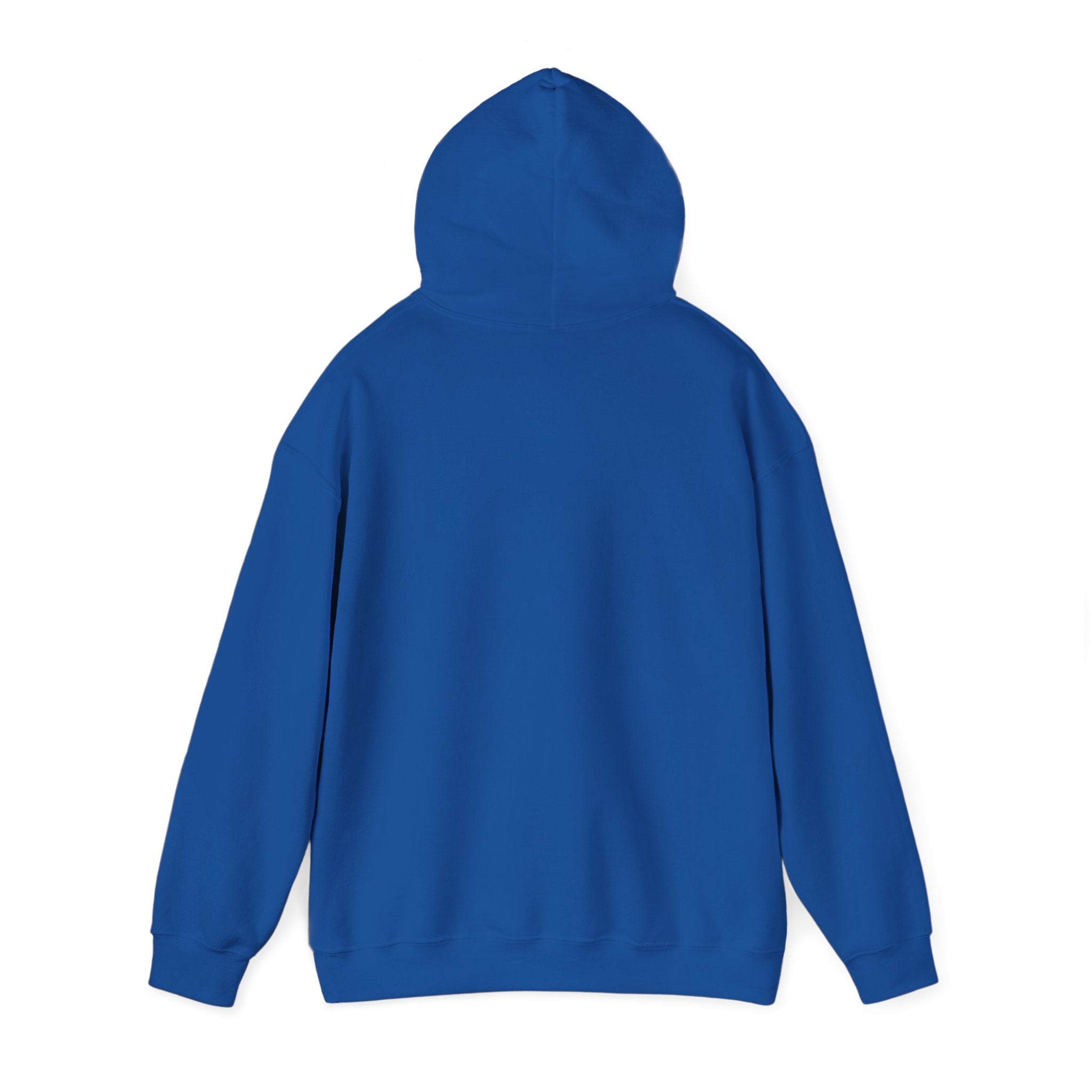 Sarcasm University Hoodie – Funny College Style Pullover