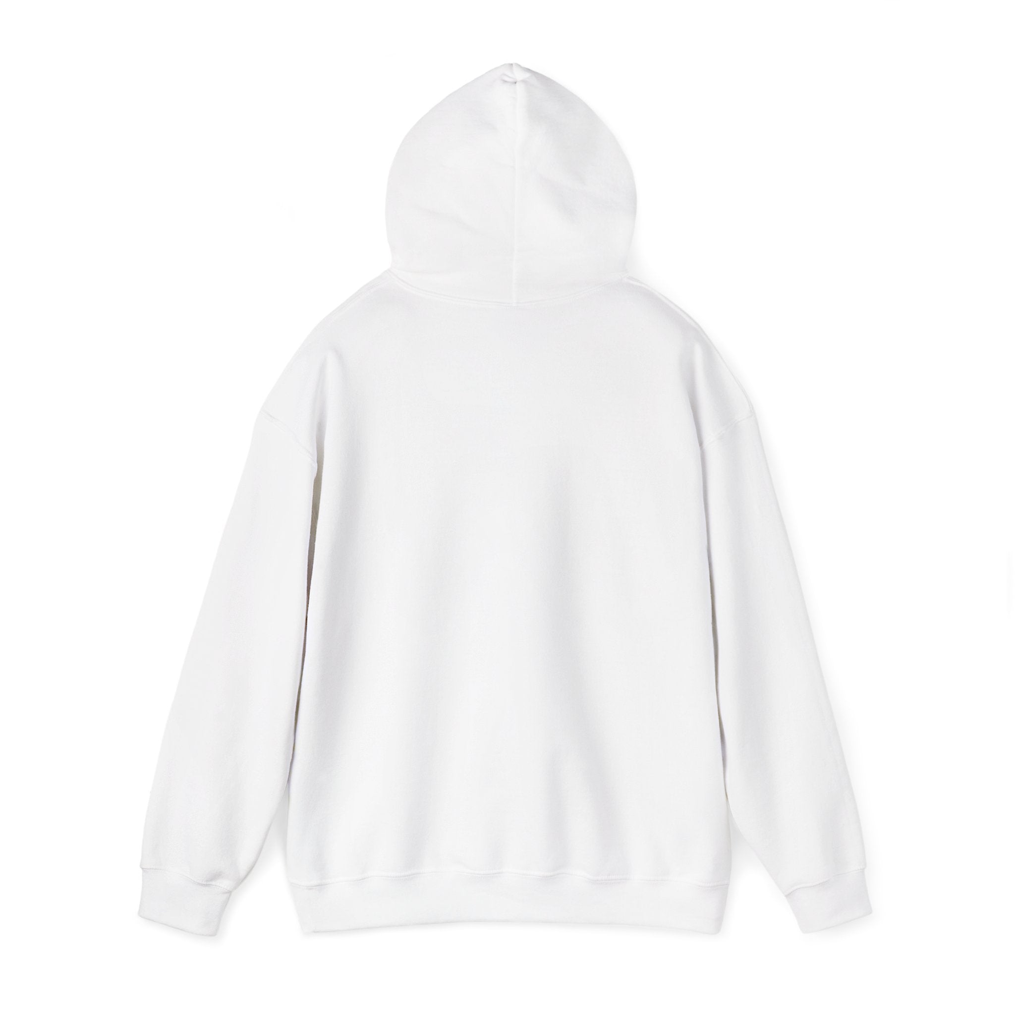 Sarcasm University Hoodie – Funny College Style Pullover