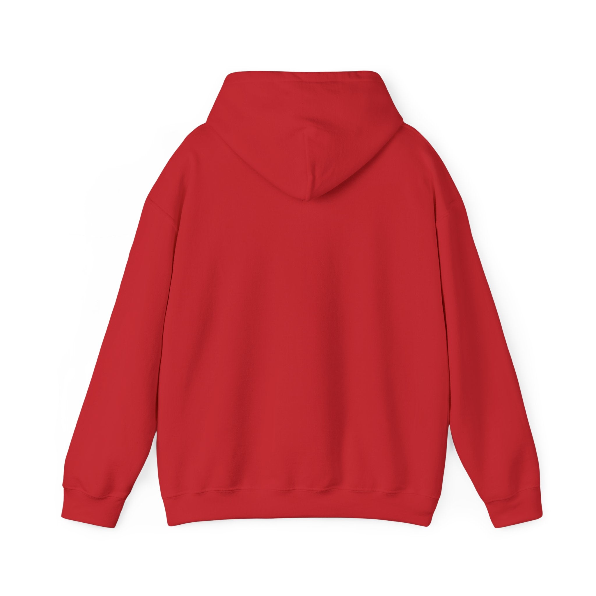 Sarcasm University Hoodie – Funny College Style Pullover