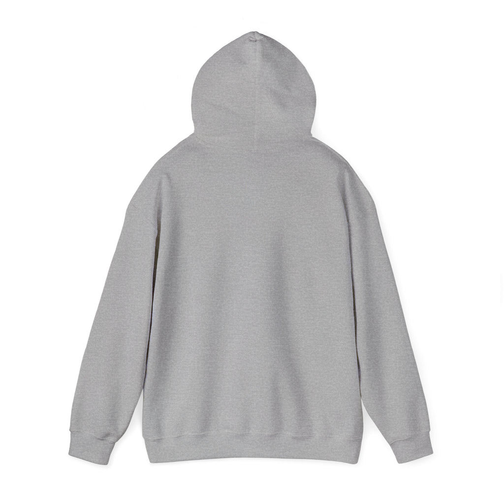 Sarcasm University Hoodie – Funny College Style Pullover