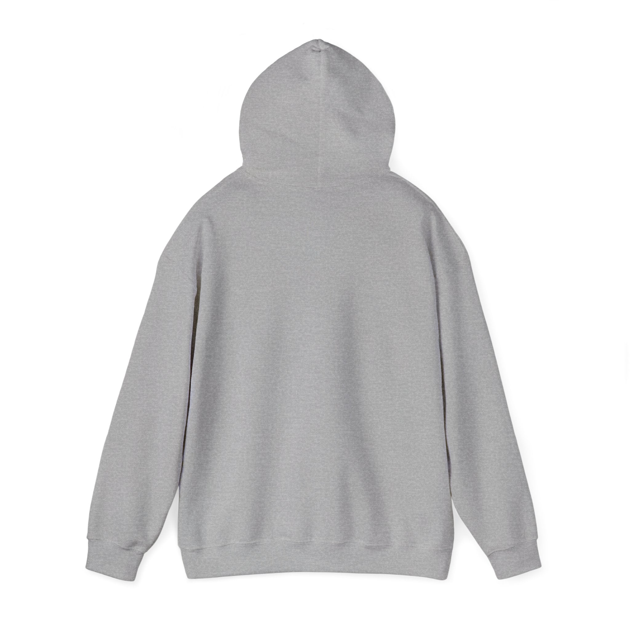 Sarcasm University Hoodie – Funny College Style Pullover