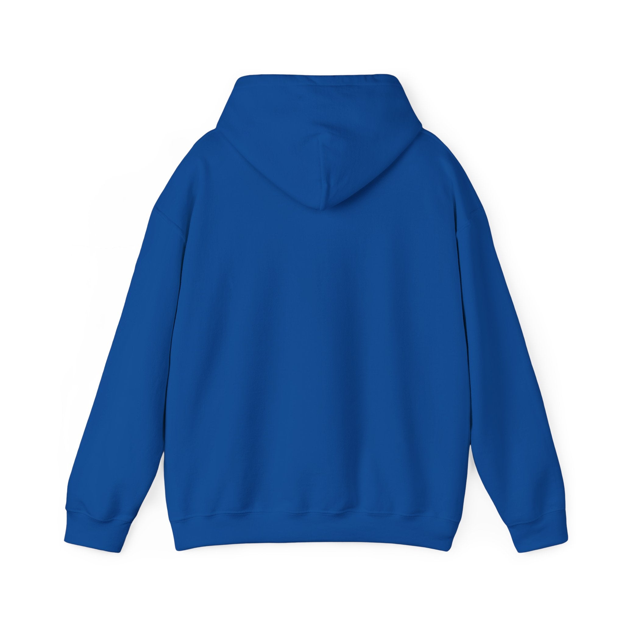 Sarcasm University Hoodie – Funny College Style Pullover