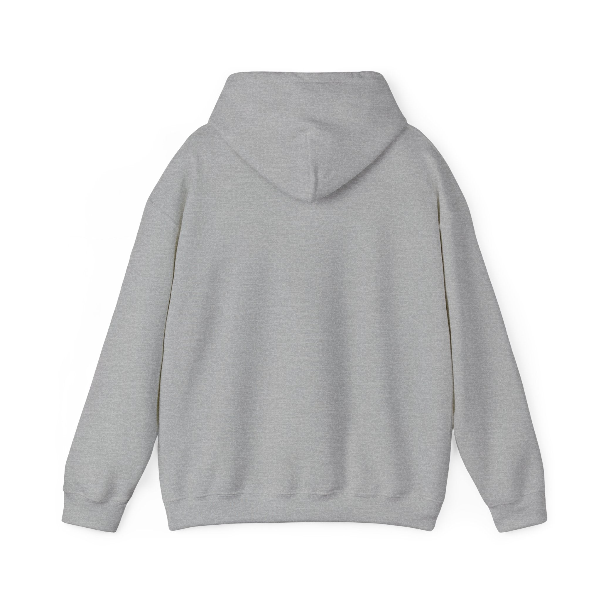 Sarcasm University Hoodie – Funny College Style Pullover