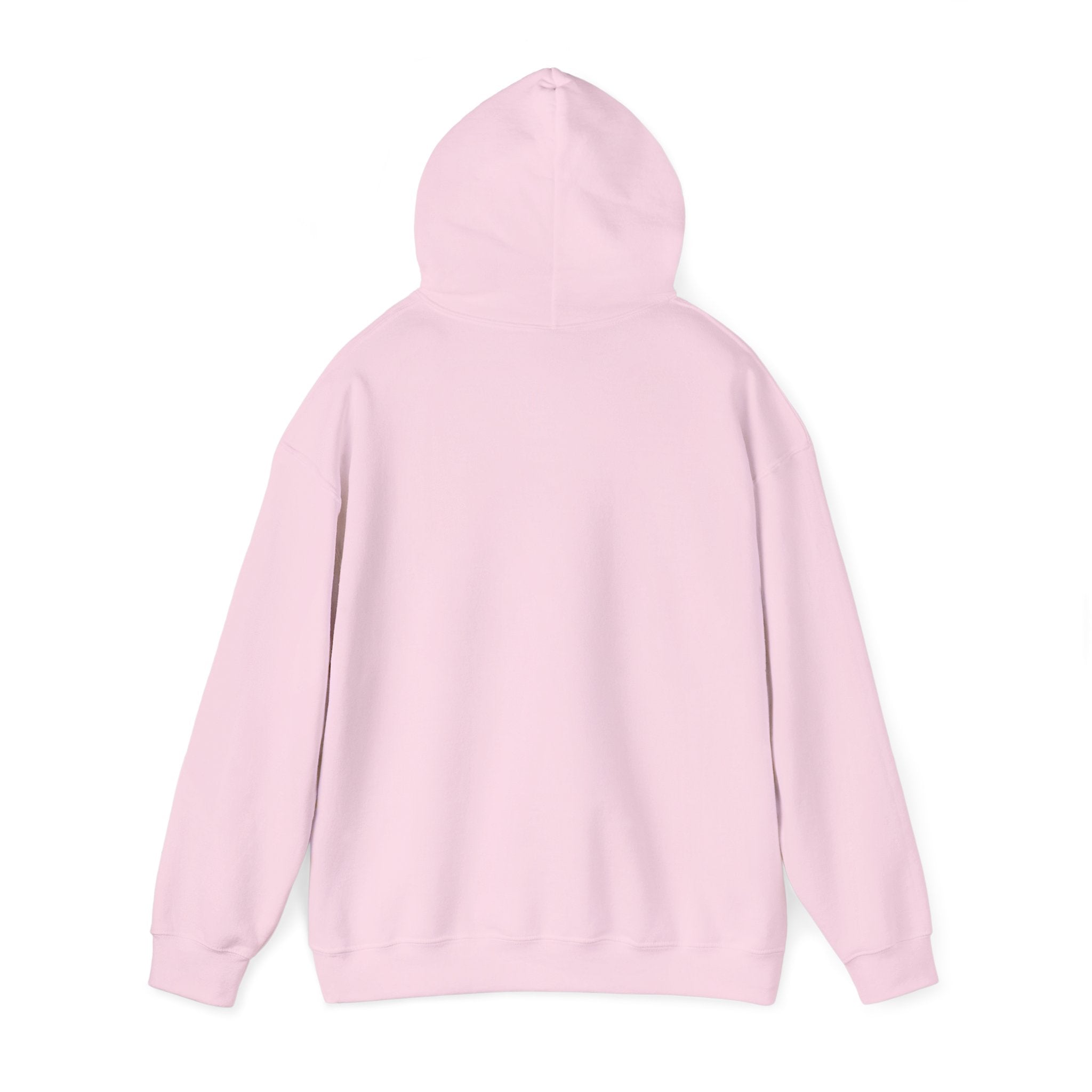 Sarcasm University Hoodie – Funny College Style Pullover