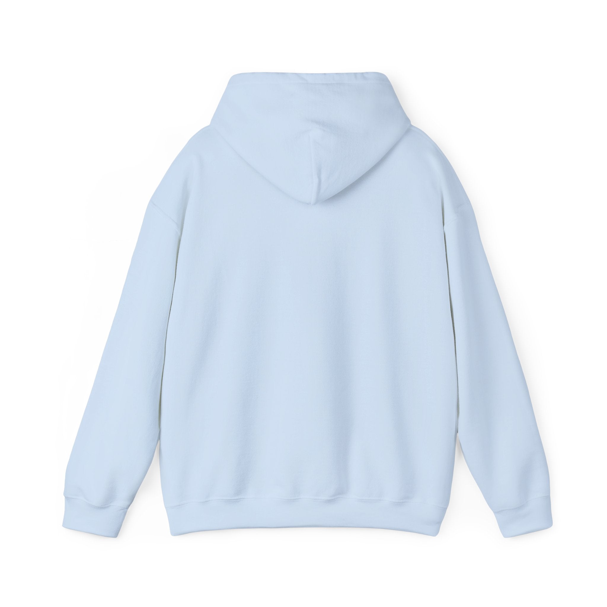 Sarcasm University Hoodie – Funny College Style Pullover